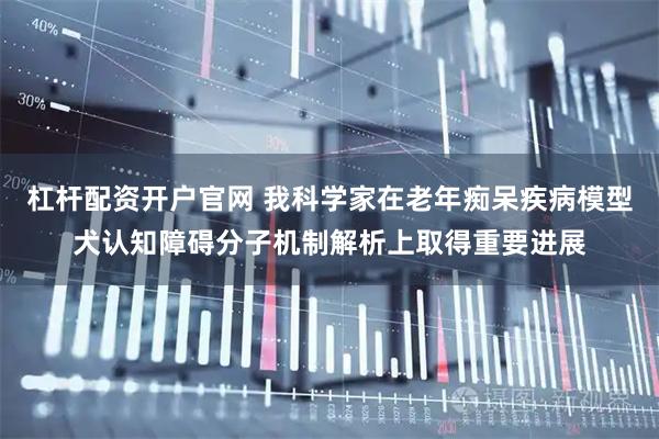 杠杆配资开户官网 我科学家在老年痴呆疾病模型犬认知障碍分子机制解析上取得重要进展