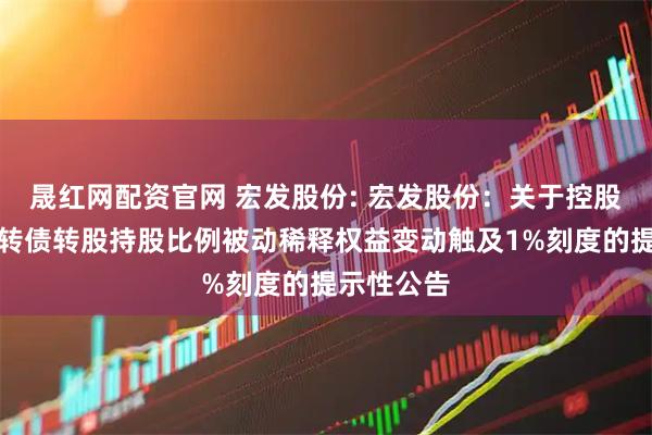 晟红网配资官网 宏发股份: 宏发股份：关于控股股东因可转债转股持股比例被动稀释权益变动触及1%刻度的提示性公告