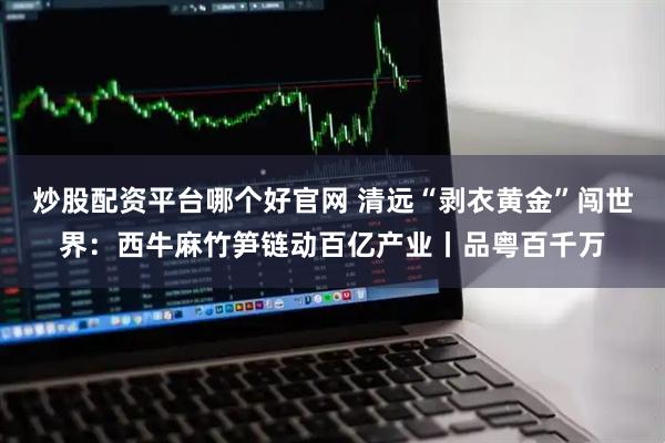 炒股配资平台哪个好官网 清远“剥衣黄金”闯世界：西牛麻竹笋链动百亿产业丨品粤百千万