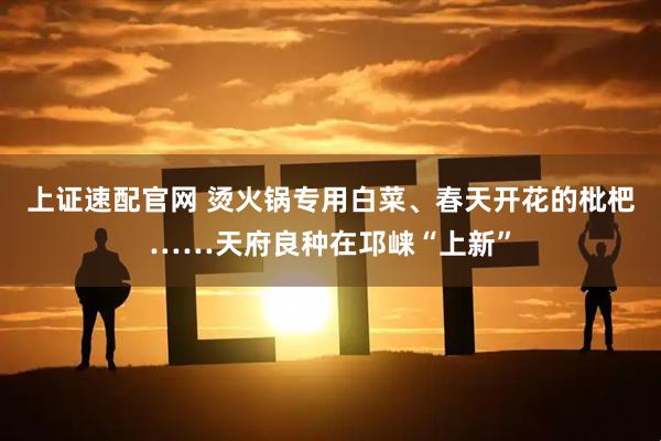 上证速配官网 烫火锅专用白菜、春天开花的枇杷……天府良种在邛崃“上新”